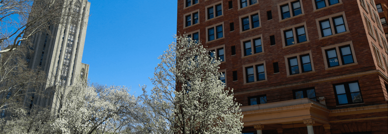 The Cathedral of Learning and the William Pitt Union