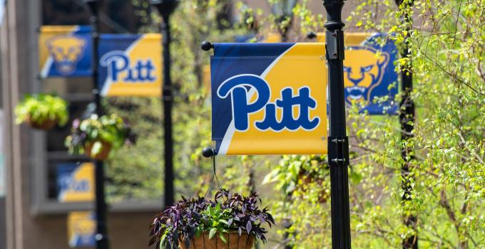 pitt banners