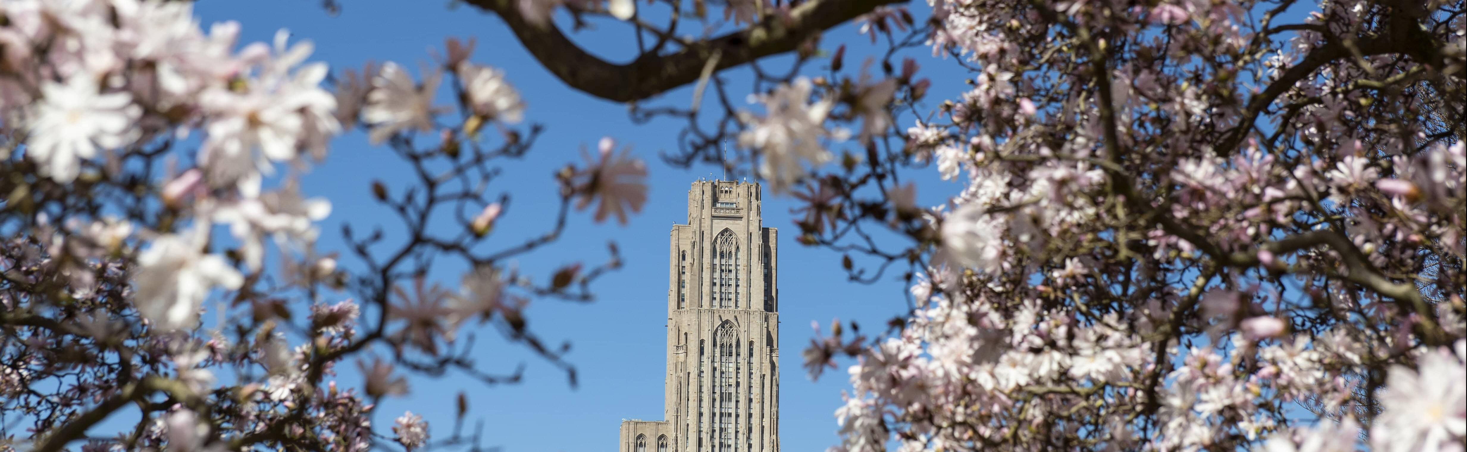 Cathedral of Learning