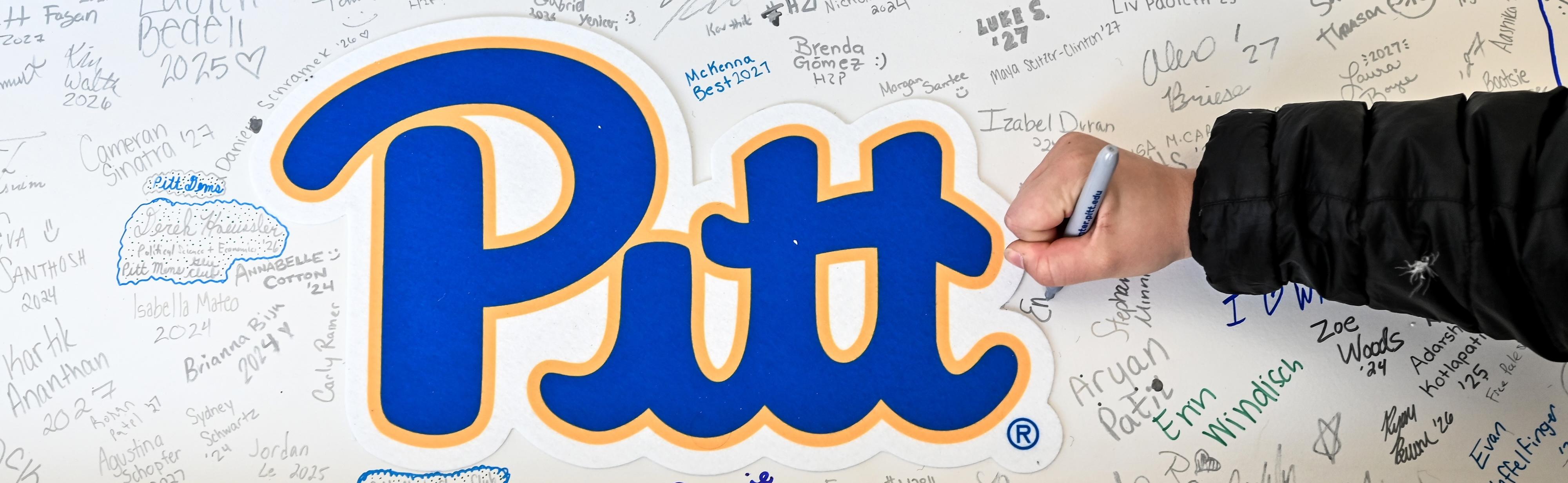 Pitt themed board